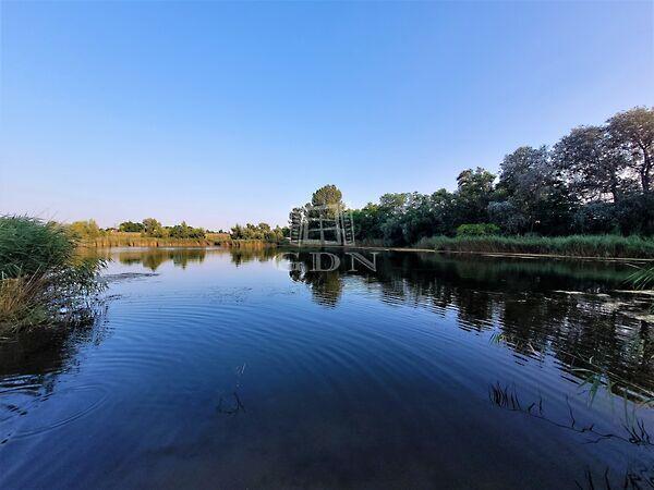 Sólyom, Szigetszentmiklós képe