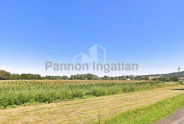 Kehidakustány képe