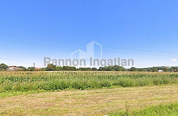 Kehidakustány 2. képe