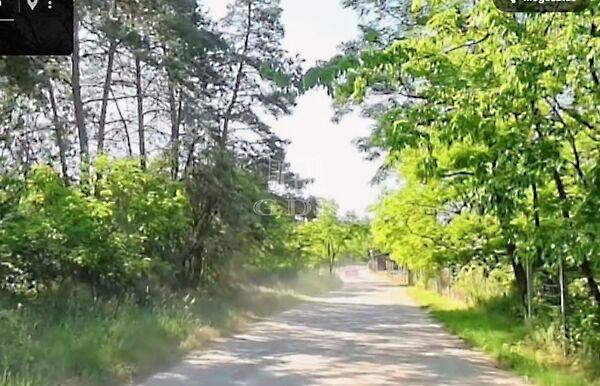 Tavak, Domony 2. képe