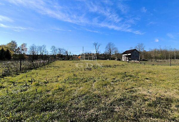 Tavak, Domony 3. képe