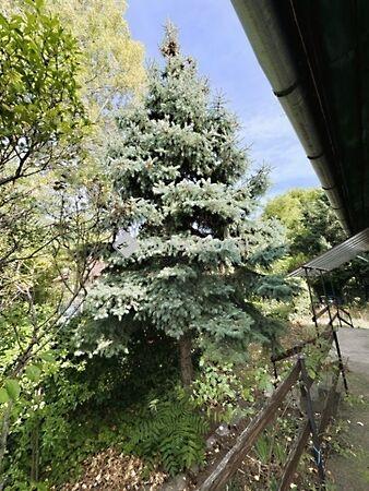 Budapest, III. kerület képe