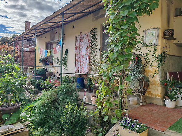 Nemesapáti 2. képe