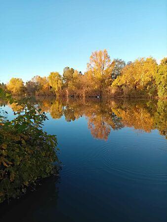 Vásárhelyi, Gyomaendrőd képe