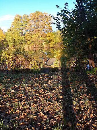 Vásárhelyi, Gyomaendrőd 2. képe