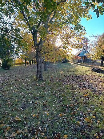 Vásárhelyi, Gyomaendrőd 3. képe