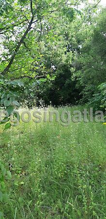 Budapest, XVI. kerület képe