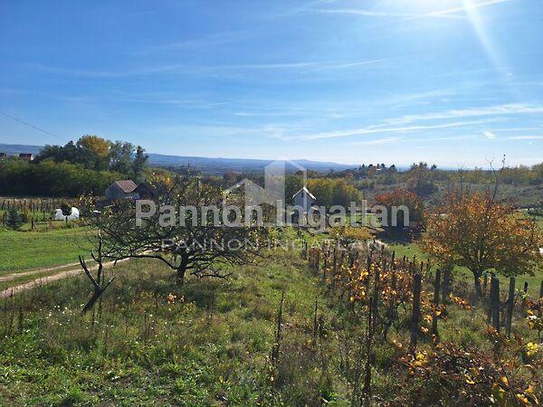 Magyarpolány 2. képe