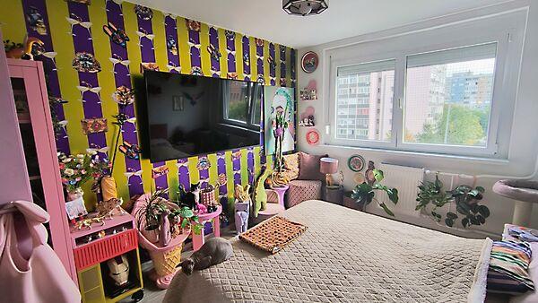 Szentendrei, Budapest, III. kerület 2. képe