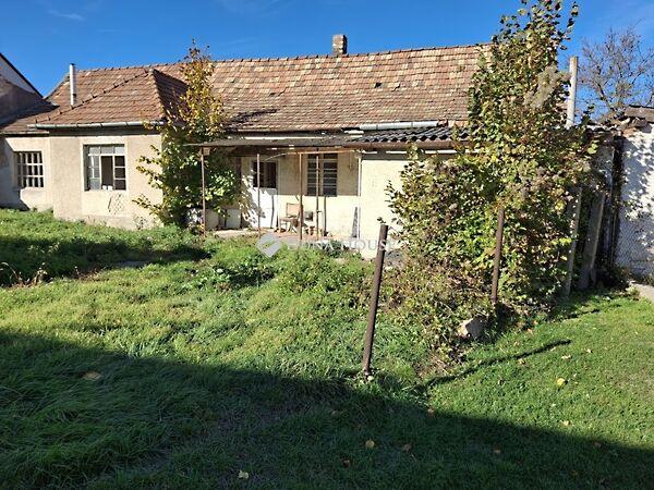 Kossuth Lajos, Bajna képe