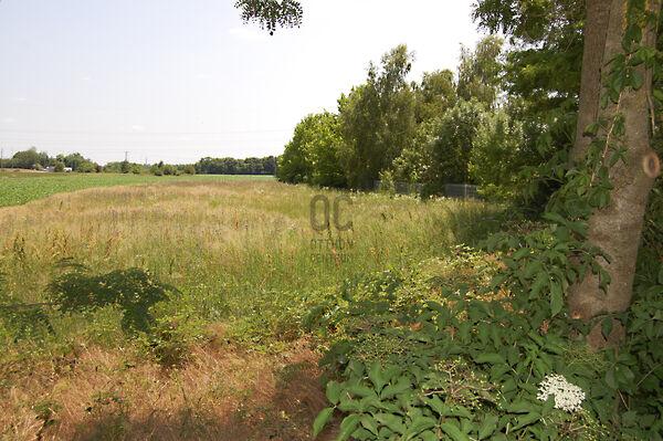 Szombathely 2. képe