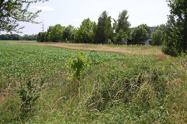 Szombathely 3. képe