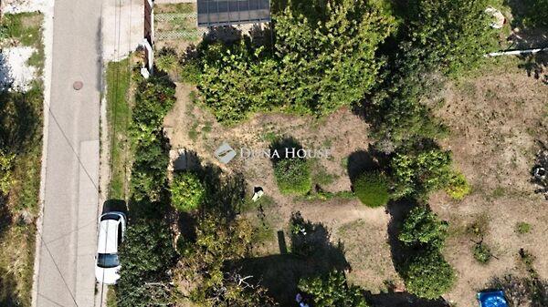 Bogyó, Érd 2. képe