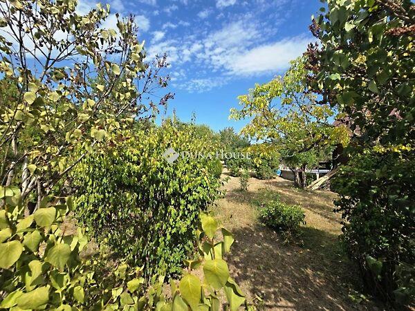 Bogyó, Érd 3. képe