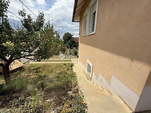 Laufer, Pécs 2. képe