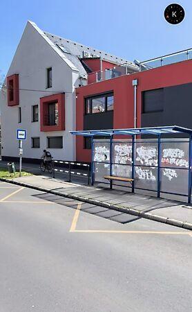 Szigeti, Pécs képe