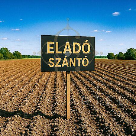 Tótkomlós 2. képe