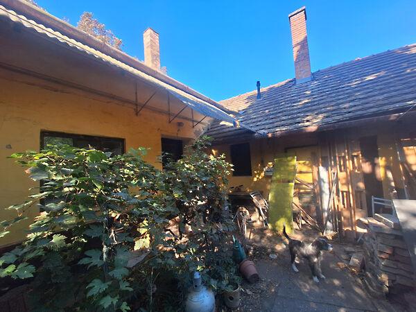 Kölcsey, Hódmezővásárhely 3. képe