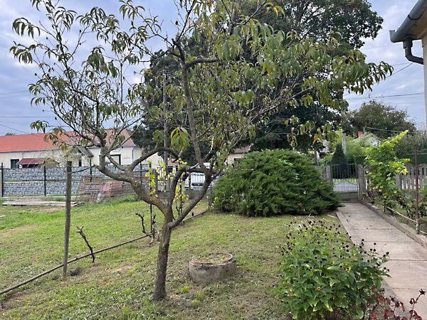 Zalaszentgrót 3. képe