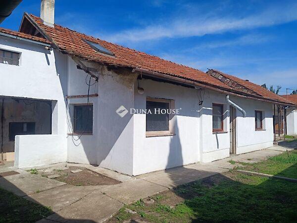 Szabó Dezső, Békéscsaba képe