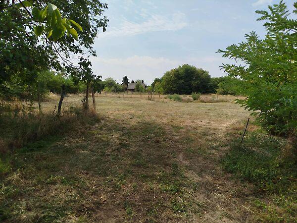 Daruszentmiklós 2. képe