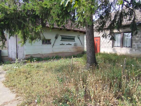 Daruszentmiklós 3. képe