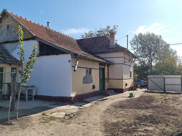 Tiszapüspöki 2. képe