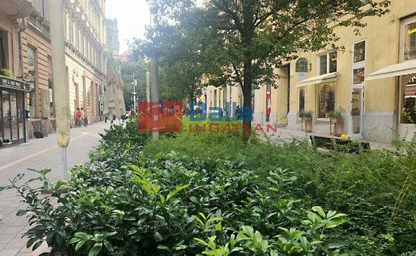 HOLLÁN ERNŐ, Budapest, XIII. kerület 3. képe