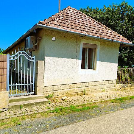 Kossuth Lajos, Csehi képe