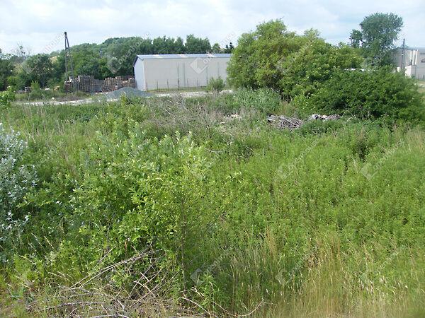 Teskándi, Zalaegerszeg 3. képe