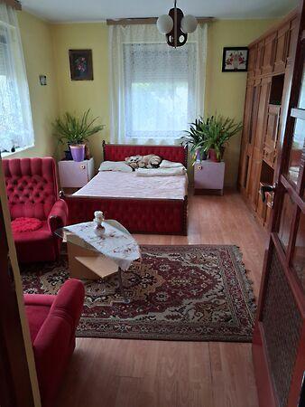 Petőfi, Diósviszló 3. képe