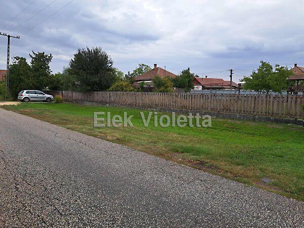 Aradi, Zagyvarékas 2. képe