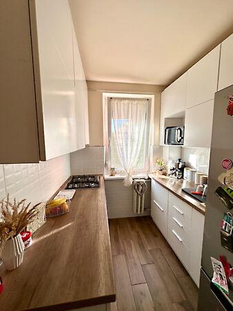 Lóczy Lajos, Veszprém 3. képe