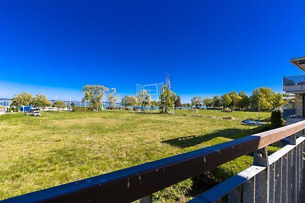 Bocskai, Zamárdi képe