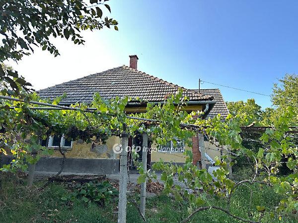 Iskola,, Bátya képe