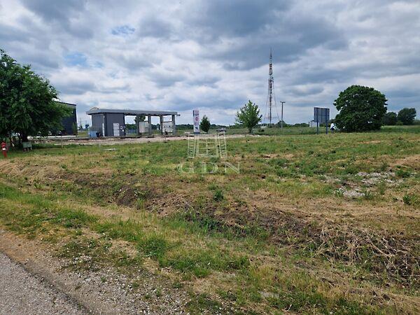 Balatoni, Székesfehérvár képe