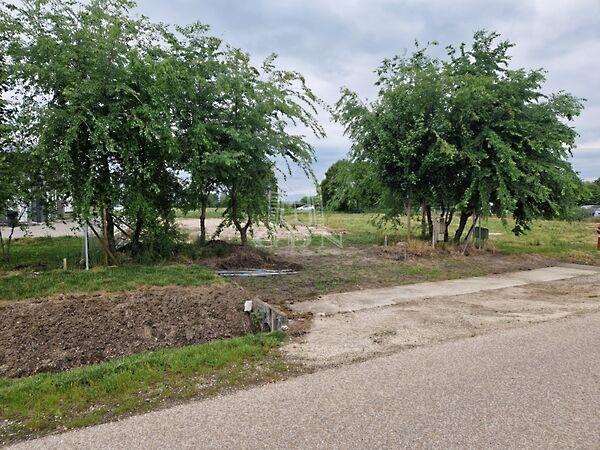 Balatoni, Székesfehérvár 2. képe