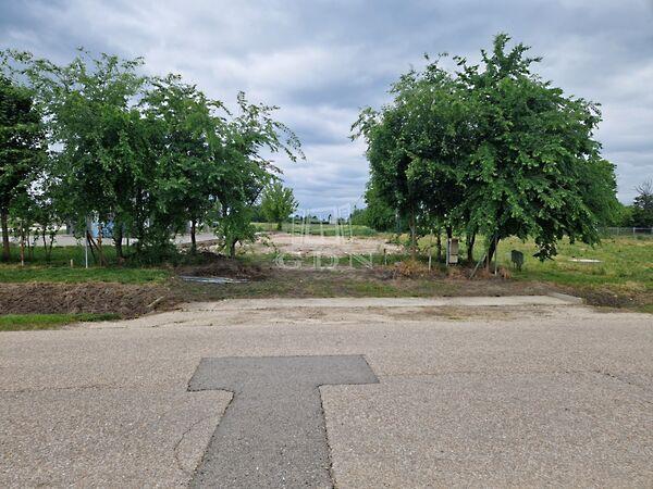 Balatoni, Székesfehérvár 3. képe