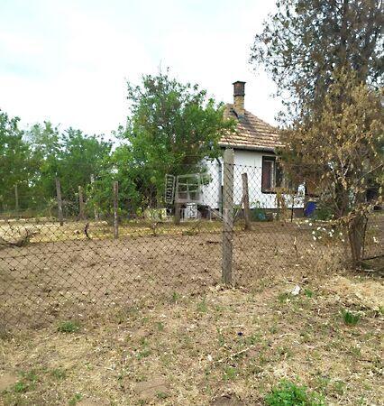 Budai, Cegléd 3. képe