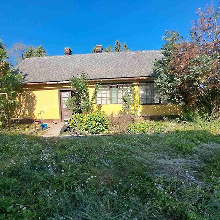 Csokonai, Földes képe