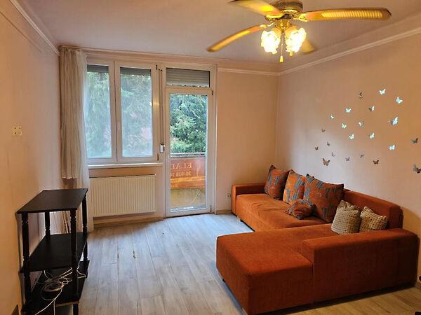 Damjanich, Kaposvár képe