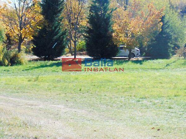 Csendes, Sukoró képe