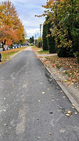 Alsópáhok 2. képe