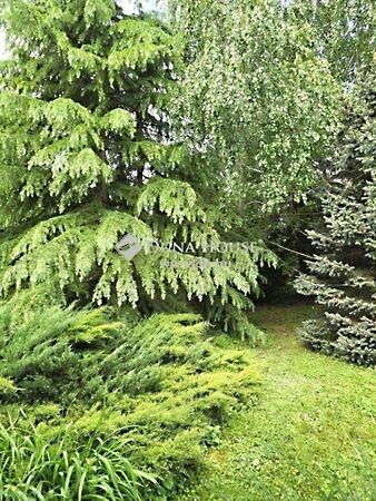 Arany János, Kistótfalu 2. képe