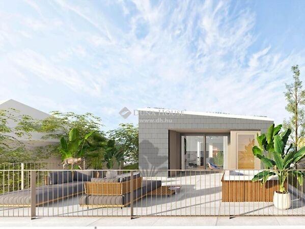 Surányi Miklós, Pécs 2. képe