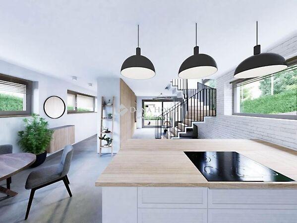 Surányi Miklós, Pécs 3. képe