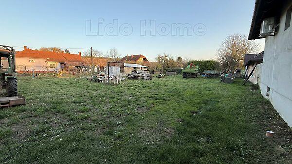 Kehidakustány képe