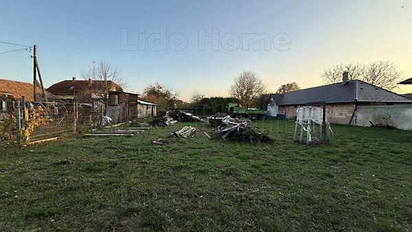 Kehidakustány 2. képe