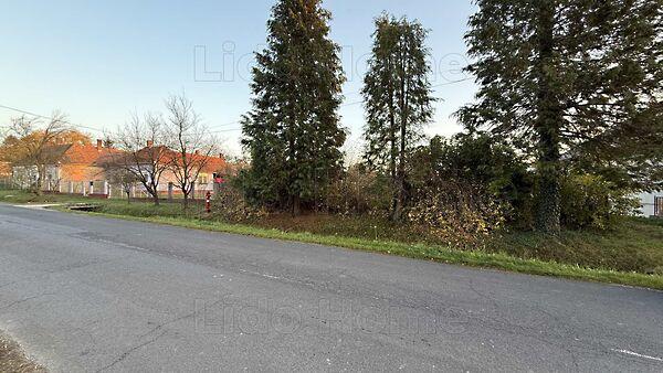 Kehidakustány 3. képe