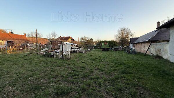 Kehidakustány 3. képe